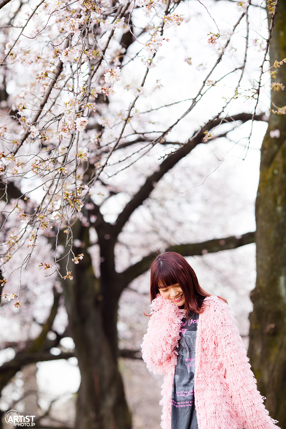 ゆちゃ桜